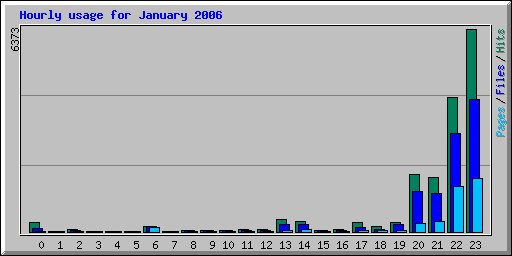 Hourly usage for January 2006